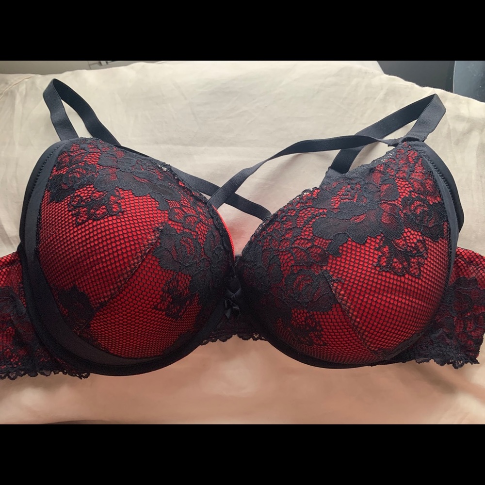 Torrid bra 48C